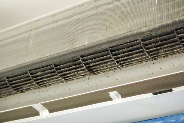 Best Best Air Duct Cleaning Near Me  in Sherwood, AR